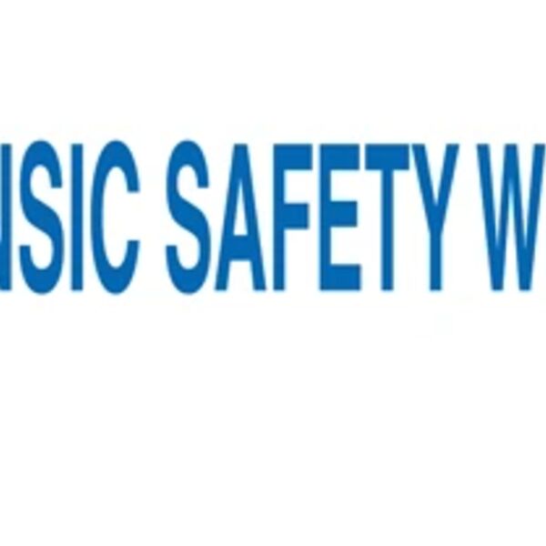 Electrical Labels, Intrinsic Safety Wiring, .5"x2.25", 18 Labels Thumbnail