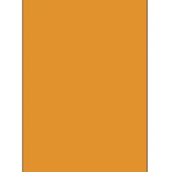 Blank 2" x 3" Rectangle Paper Label, Fluorescent Orange Thumbnail