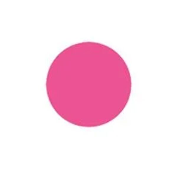 Blank 2" Circle Paper Label, Fluorescent Pink Thumbnail