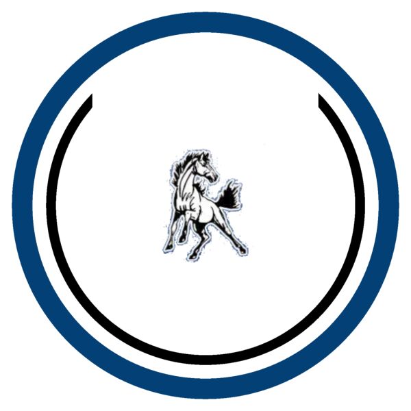 Shandon Logo Thumbnail