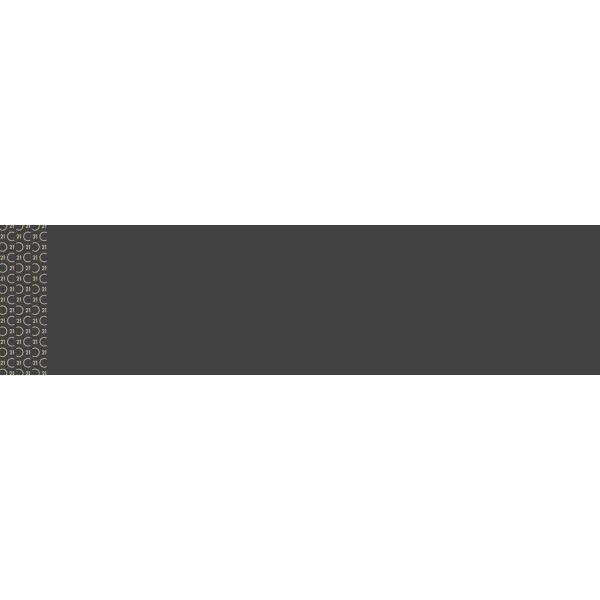 Century 21 6"x24" Rider Signs Thumbnail