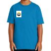 Youth Ultra Cotton ® 100% Cotton T Shirt Thumbnail