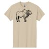 Heavy Cotton™ 100% Cotton T-Shirt Thumbnail