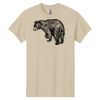 Heavy Cotton™ 100% Cotton T-Shirt Thumbnail