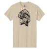 Heavy Cotton™ 100% Cotton T-Shirt Thumbnail