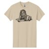 Heavy Cotton™ 100% Cotton T-Shirt Thumbnail
