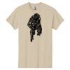 Heavy Cotton™ 100% Cotton T-Shirt Thumbnail
