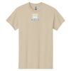 Heavy Cotton™ 100% Cotton T-Shirt Thumbnail