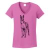 Ladies Heavy Cotton™ 100% Cotton V-Neck T-Shirt Thumbnail