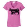 Ladies Heavy Cotton™ 100% Cotton V-Neck T-Shirt Thumbnail