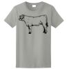 Ladies Ultra Cotton ® 100% Cotton T Shirt Thumbnail