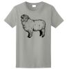Ladies Ultra Cotton ® 100% Cotton T Shirt Thumbnail