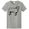 Ladies Ultra Cotton ® 100% Cotton T Shirt Thumbnail