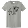 Ladies Ultra Cotton ® 100% Cotton T Shirt Thumbnail